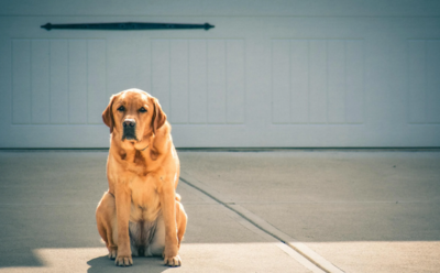 Calgary front garage homes for sale – attached, oversized, heated, and executive garage properties
