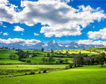 Foothills County Real Estate - Acreages and Homes for Sale Near Calgary